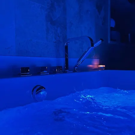 Le Dijonnais Apartment *