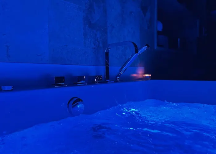 Le Dijonnais Appartement *